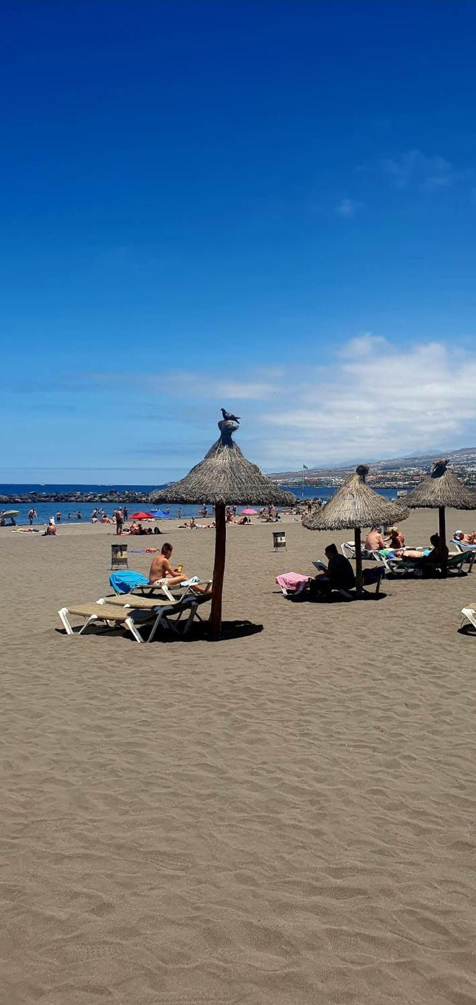 Wonderful White Appartament In Las Tortugas Πλάγια ντε λας Αμέρικας Εξωτερικό φωτογραφία